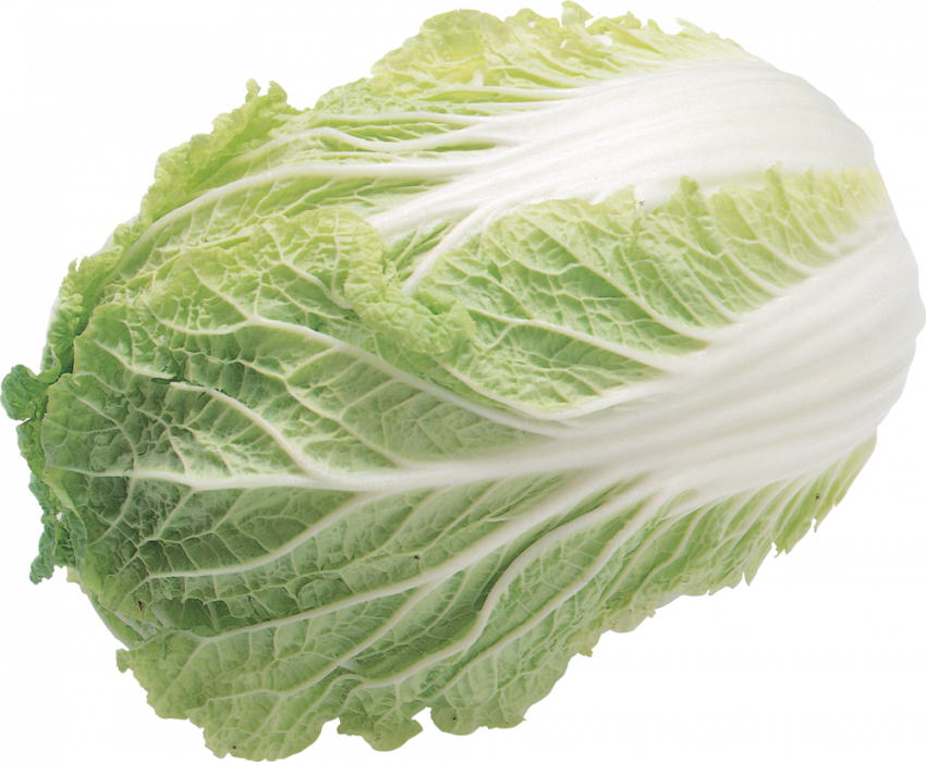 Salad tansparent background,Salad PNG Images