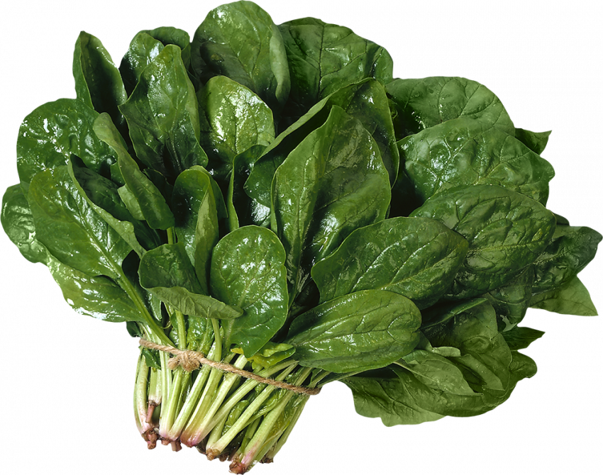 Salad transparent background,Salad PNG Images