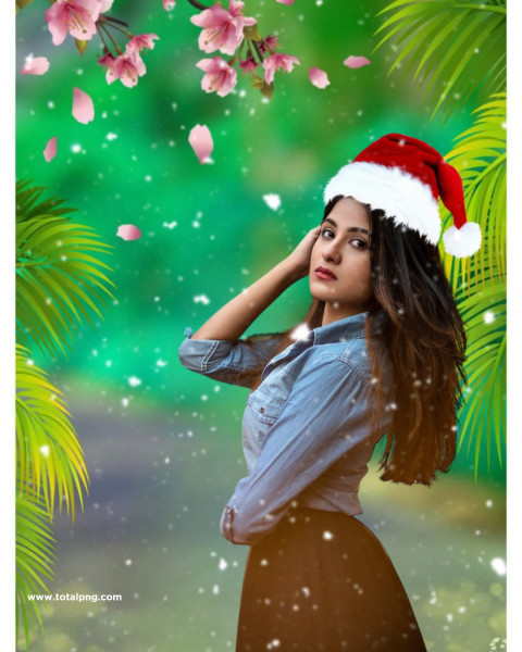 Santa claus christmas editing background