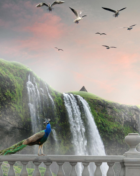 shipan edits 15 august background