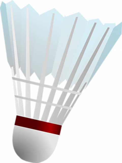 Shuttlecock png images,Shuttlecock transparent png