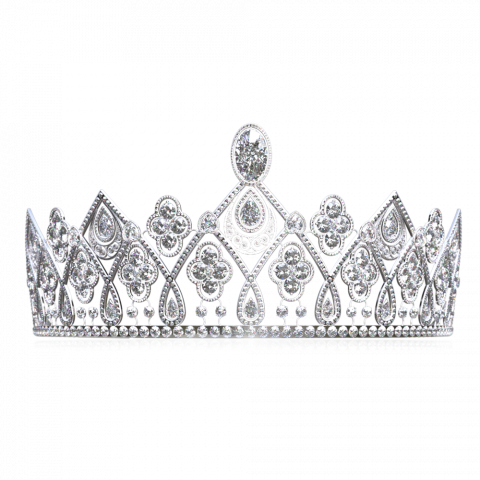 Silver white crown pmng (2)