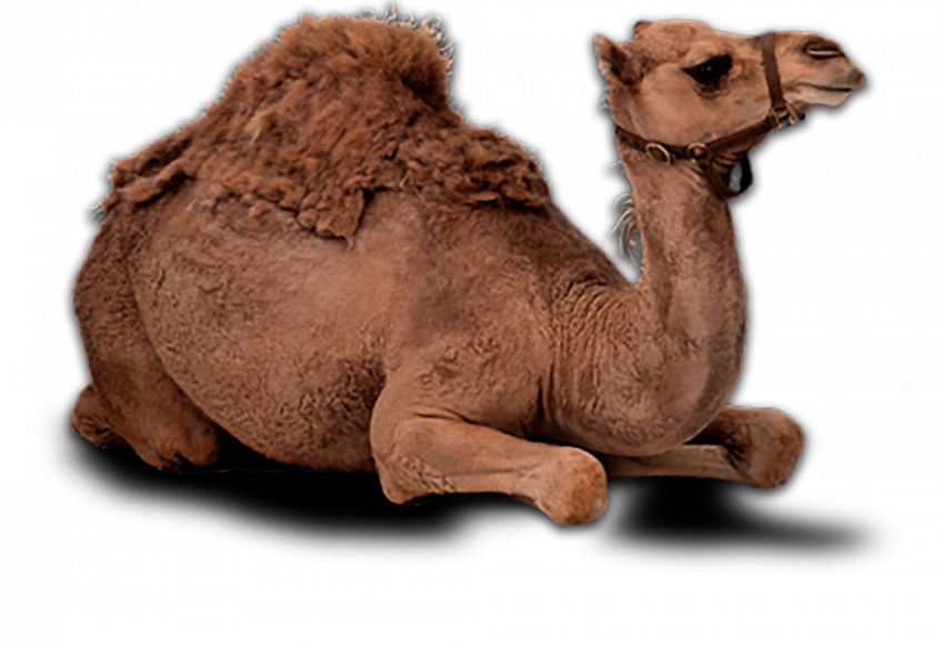 Sitting hd png download