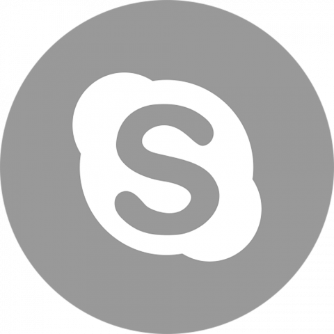 Skype Grey logo png hd
