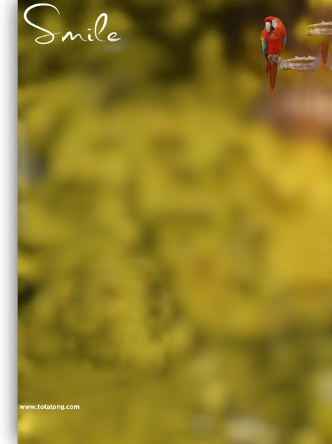 Smile cb editing background 4k