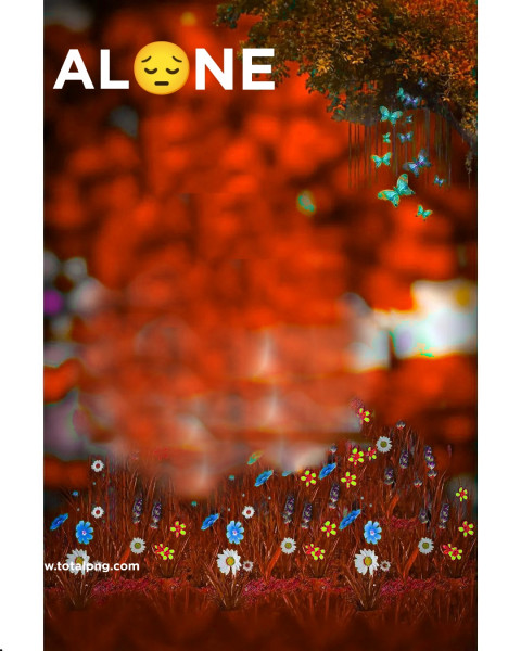 Snapseed Alone Broken Heart Cb editing Background (2)