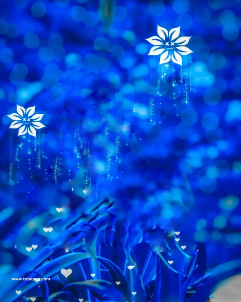 Snapseed and picsart cb editing background