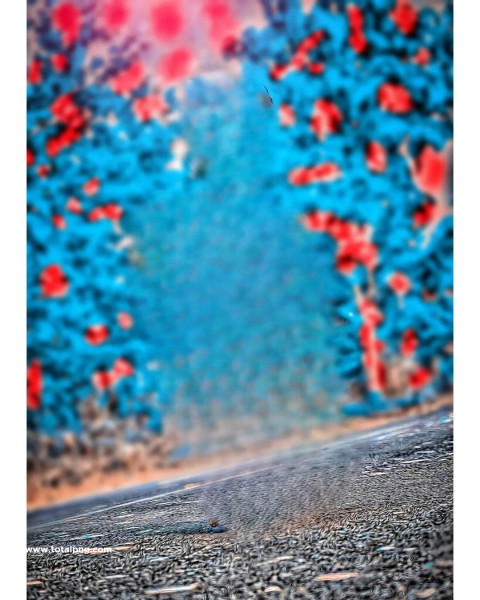 Snapseed cb background full