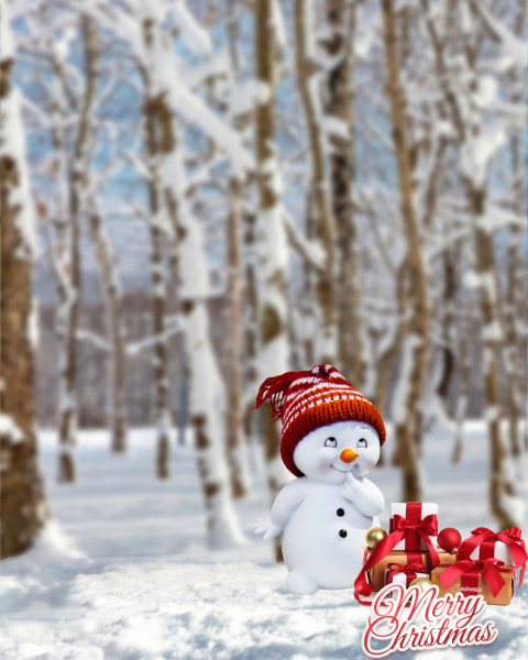 Snapseed christmas editing background images