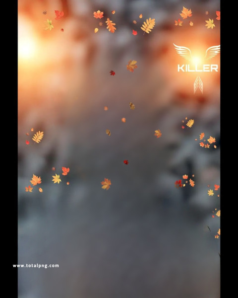 Snapseed Free Cb Edit Background Photos