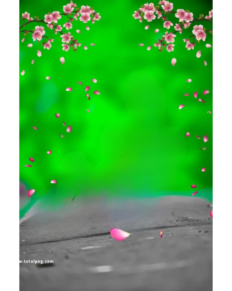 Snapseed Natural Cb editing background