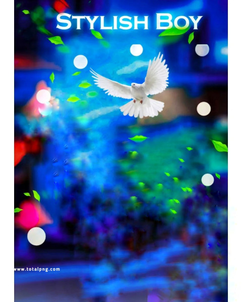 Stylish boy cb background free download