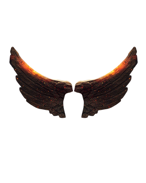 Taukeer editz wing png images
