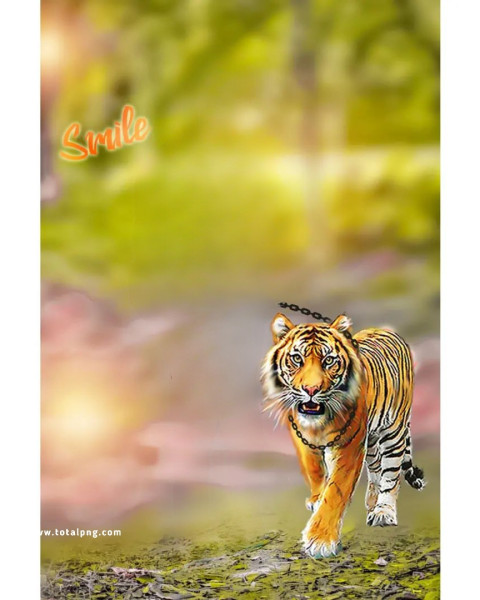 Tiger Free Cb Edit Background Photos