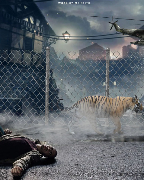 Tiger killing hd editing background