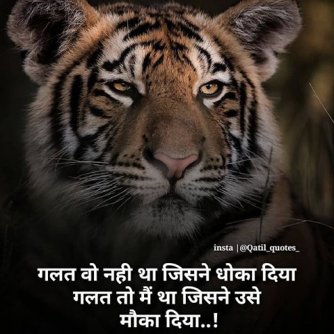 Tiger motivational status hd (2)