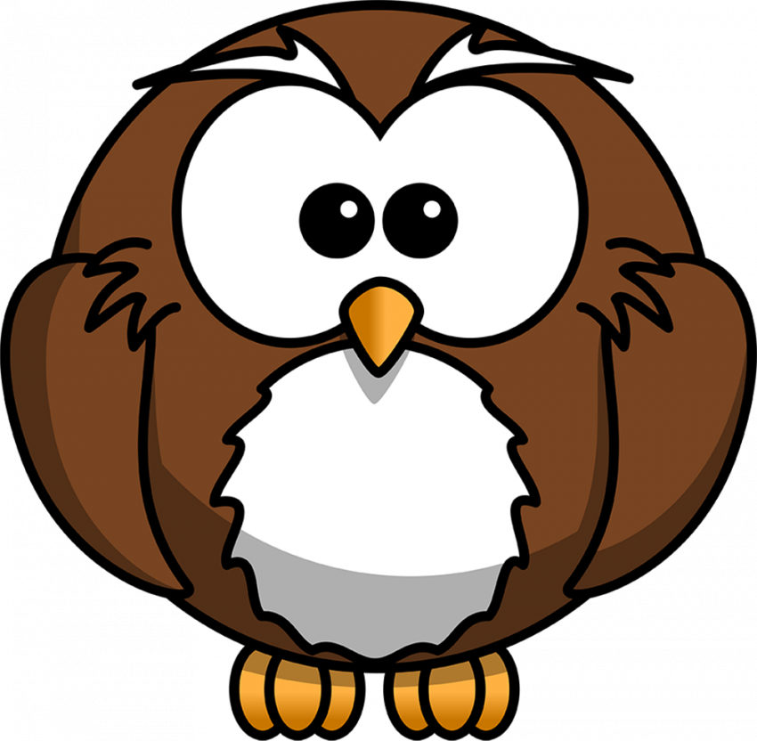 Toon owl png transparent background