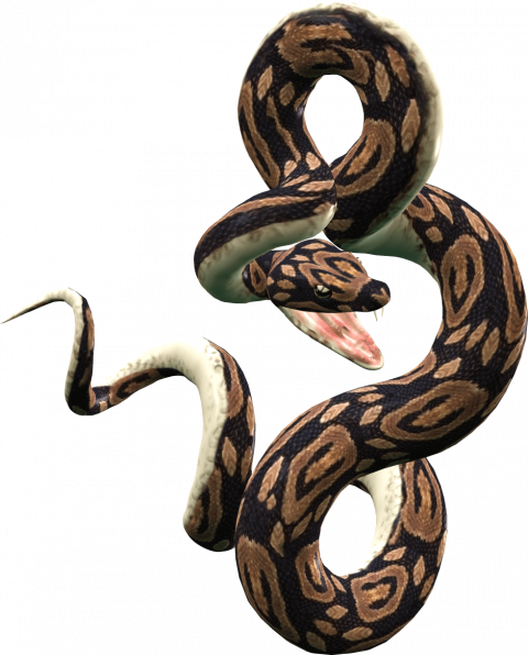 Transparent snake png