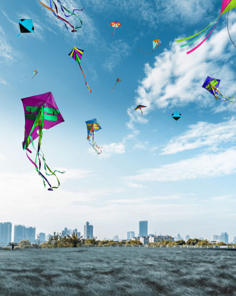 Trending makar sankranti editing backgrounds