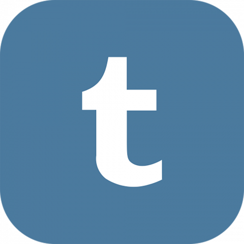 Tumblr Full Logo PNG Image