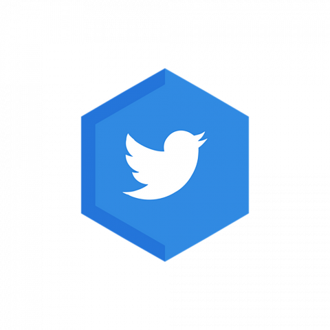 Twitter hexagon shape logo png copy