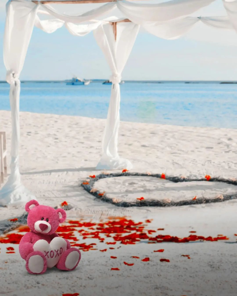 Velentine day editing background hd