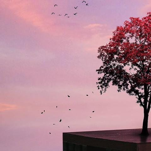 Visual wallpaper background hd download (9)