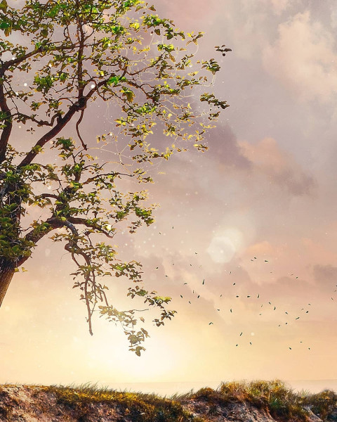 Visual wallpaper hd download (10)