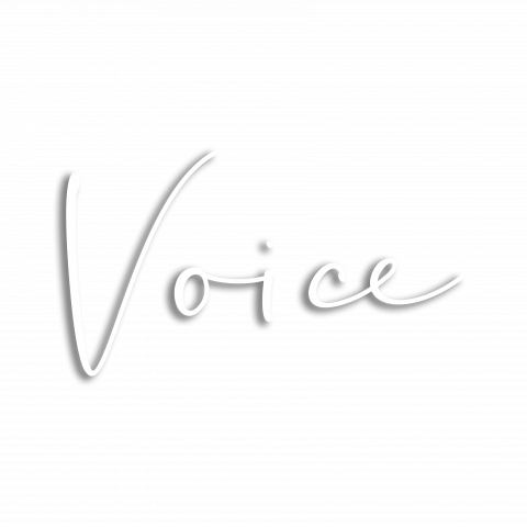 Voice Text PNG Transparent Images Free Download