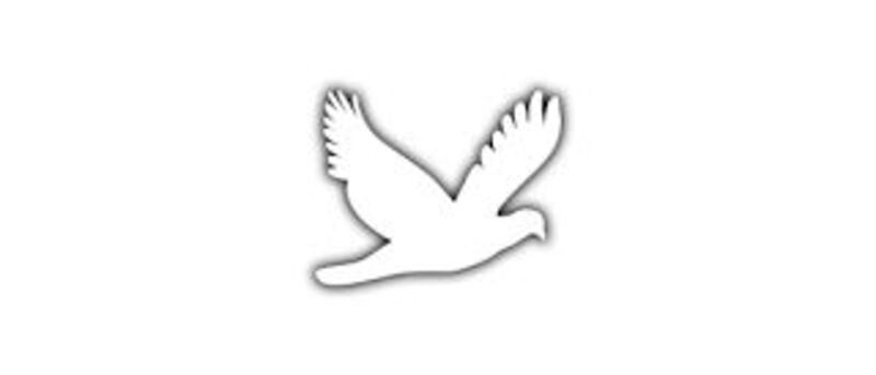 white birds png