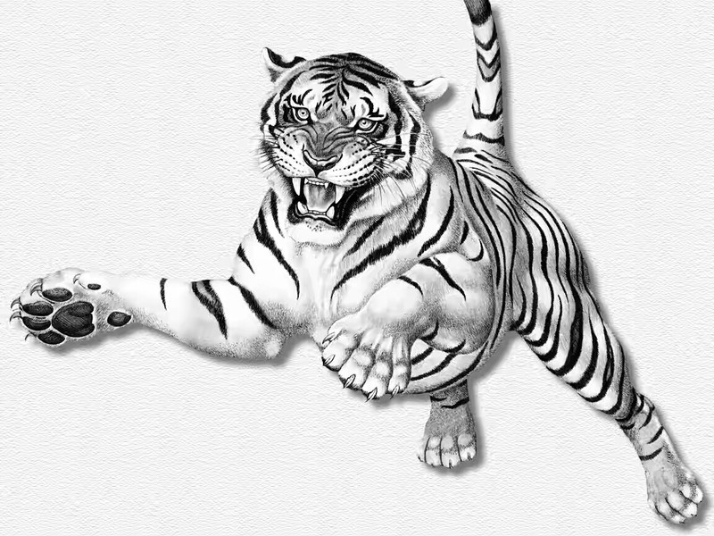 White tiger png png download