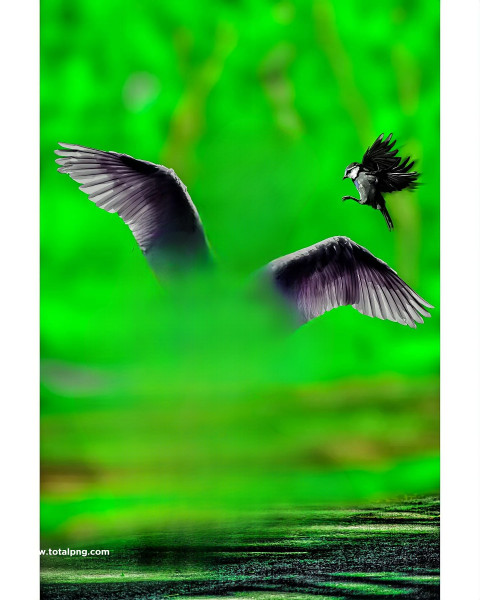 Wing autodesk cb editing background