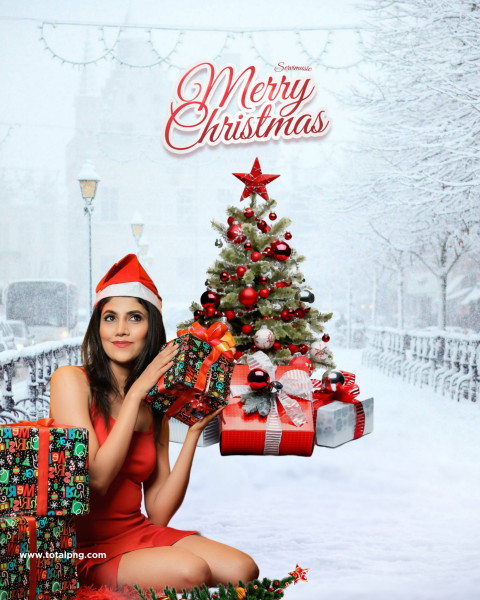 Winter christmas editing background