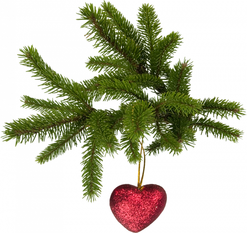 Winter christmas png images