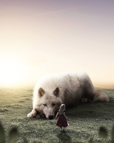 Wolf photoshop editing background