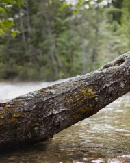 1000  Hd Editing Background Download