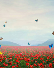 1000  Picsart Hd Editing Background Download