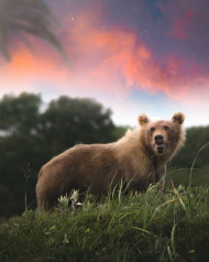 1000  Picsart Hd Editing Background Download