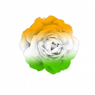 15augst flower With Transparent Background