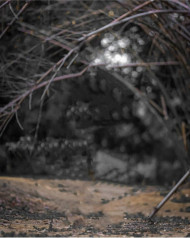 2022 cb editing background (2)