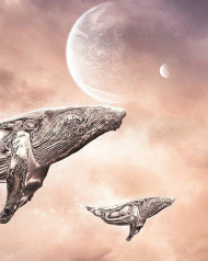 3D Visual Wallpapers Download (10)