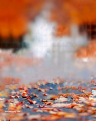 4k cb editing background