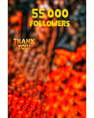 55k cb editing background