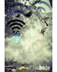 5G photoshop cb editing background download