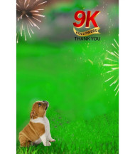 9k Followers Cb Background Snapseed