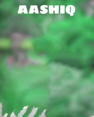 Aashiq Hd Cb Editing Background
