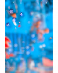 Ak editor hd photoshop cb editing background