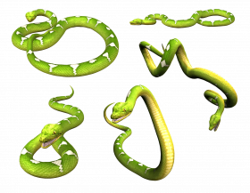 Alagar transparent snake png