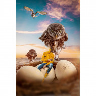 angery owl editing background