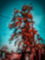 Aqua tone editing backround